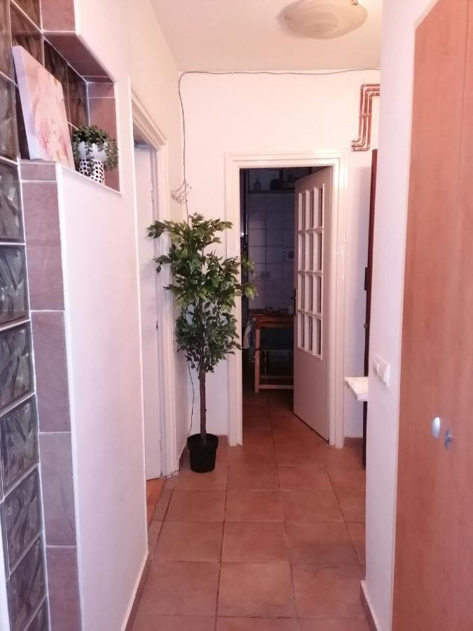 River View, In City Center Apartment Bucharest Exterior photo